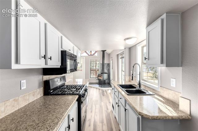 MLS Image for 19253 E Highway 24  ,Woodland Park, Colorado
