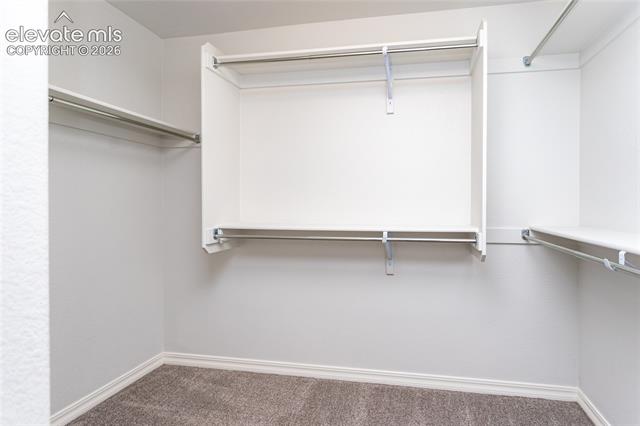 MLS Image for 10147  Barbour Fork  ,Colorado Springs, Colorado