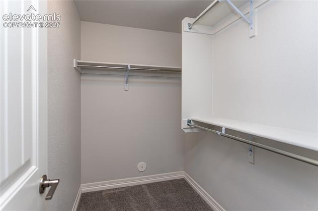 MLS Image for 10147  Barbour Fork  ,Colorado Springs, Colorado