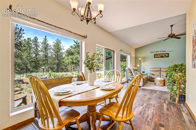 MLS Image for 693  Black Mesa  ,Florissant, Colorado