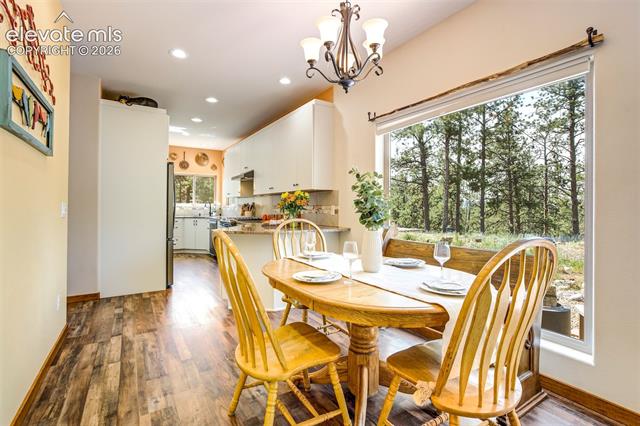 MLS Image for 693  Black Mesa  ,Florissant, Colorado