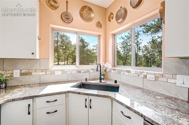 MLS Image for 693  Black Mesa  ,Florissant, Colorado