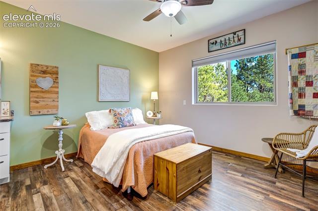MLS Image for 693  Black Mesa  ,Florissant, Colorado