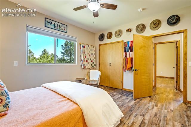 MLS Image for 693  Black Mesa  ,Florissant, Colorado