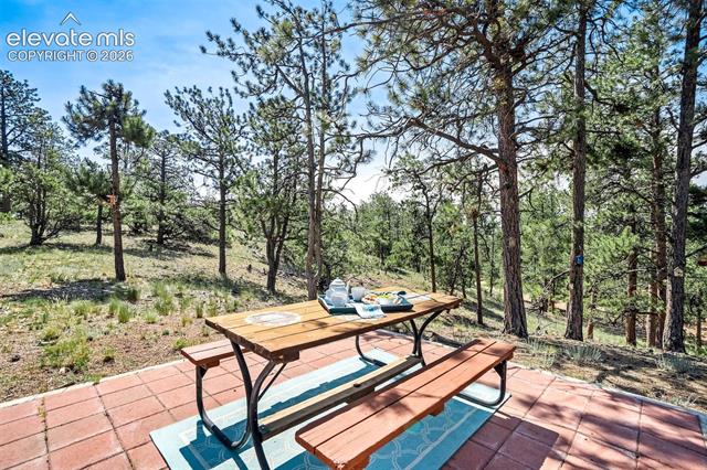 MLS Image for 693  Black Mesa  ,Florissant, Colorado