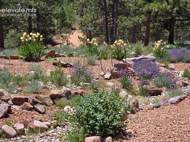MLS Image for 693  Black Mesa  ,Florissant, Colorado