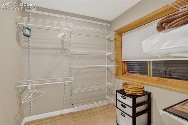 MLS Image for 3805  Brushland  ,Colorado Springs, Colorado
