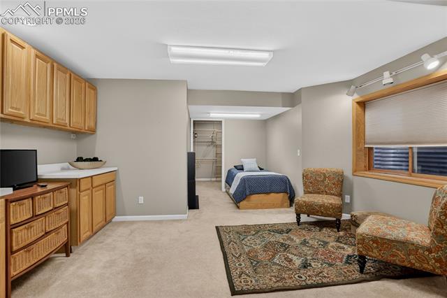 MLS Image for 3805  Brushland  ,Colorado Springs, Colorado