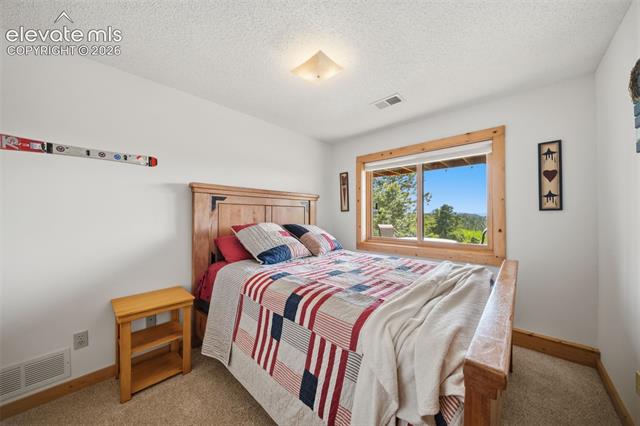 MLS Image for 4269  Cedar Mountain  ,Divide, Colorado