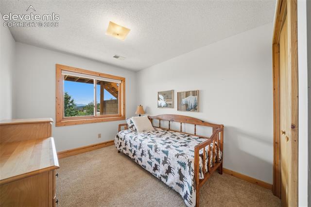 MLS Image for 4269  Cedar Mountain  ,Divide, Colorado