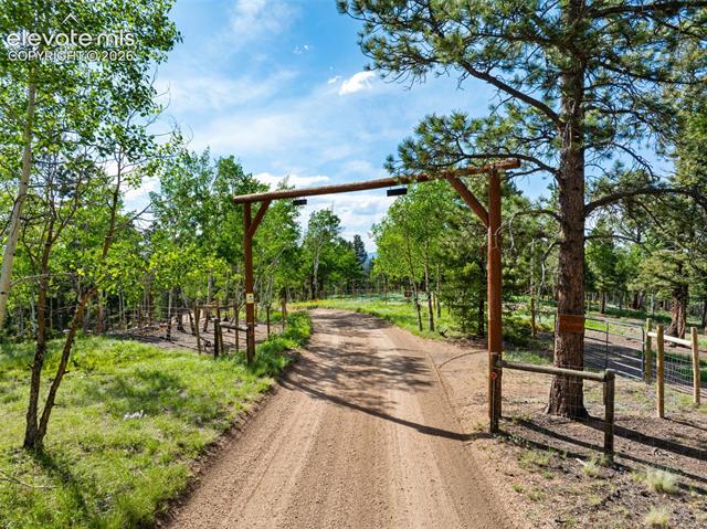 MLS Image for 4269  Cedar Mountain  ,Divide, Colorado