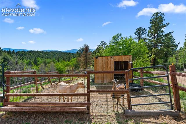 MLS Image for 4269  Cedar Mountain  ,Divide, Colorado