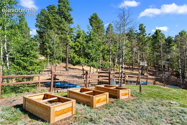 MLS Image for 4269  Cedar Mountain  ,Divide, Colorado