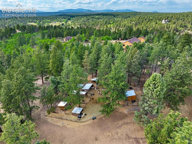 MLS Image for 4269  Cedar Mountain  ,Divide, Colorado
