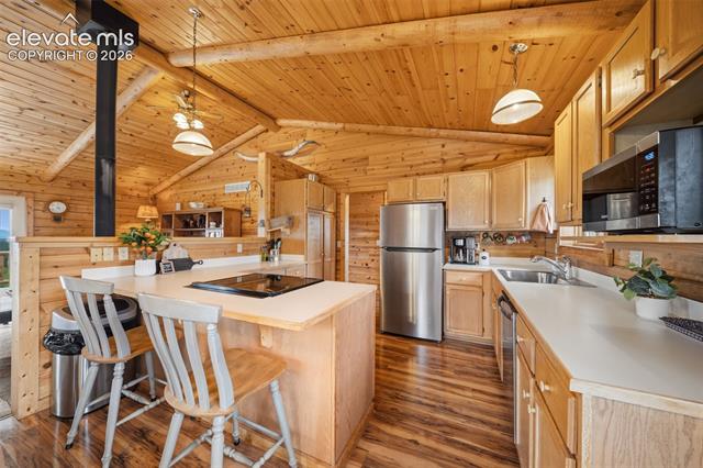 MLS Image for 4269  Cedar Mountain  ,Divide, Colorado