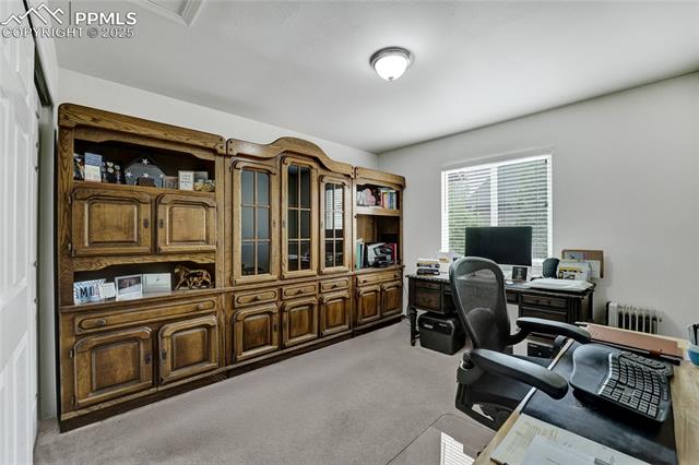 MLS Image for 10641  Greenbelt  ,Peyton, Colorado