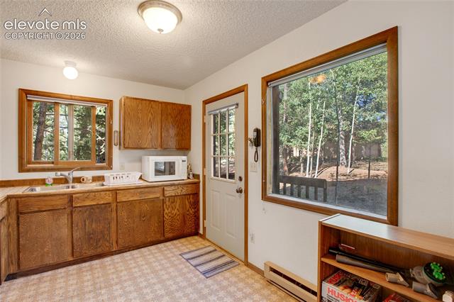 MLS Image for 886  Cottonwood Lake  ,Divide, Colorado