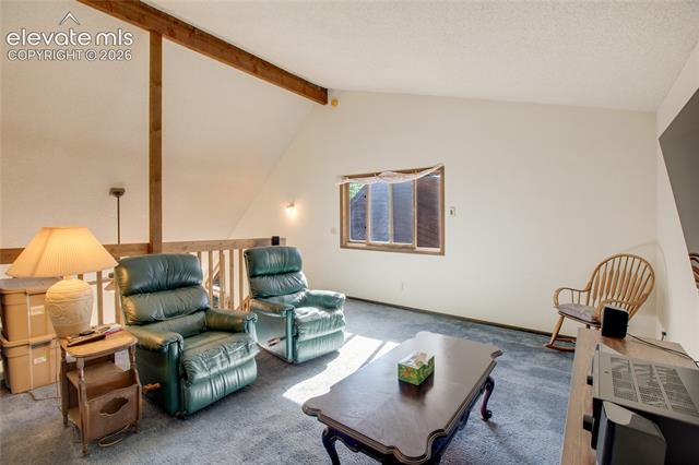 MLS Image for 886  Cottonwood Lake  ,Divide, Colorado