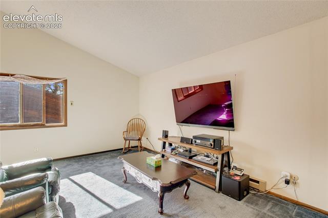MLS Image for 886  Cottonwood Lake  ,Divide, Colorado