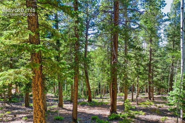 MLS Image for 886  Cottonwood Lake  ,Divide, Colorado