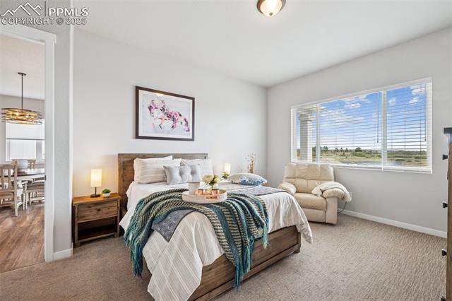 MLS Image for 2267  Merlot  ,Colorado Springs, Colorado