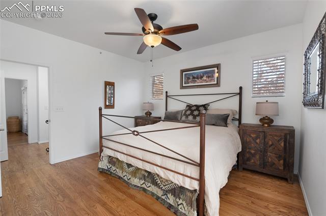 MLS Image for 3294  Apogee   ,Colorado Springs, Colorado
