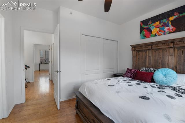 MLS Image for 3294  Apogee   ,Colorado Springs, Colorado