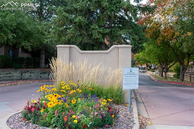 MLS Image for 3294  Apogee   ,Colorado Springs, Colorado
