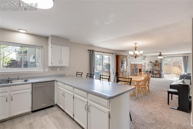 MLS Image for 205  Tamarron  ,Colorado Springs, Colorado