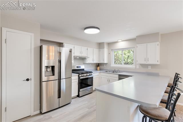 MLS Image for 205  Tamarron  ,Colorado Springs, Colorado