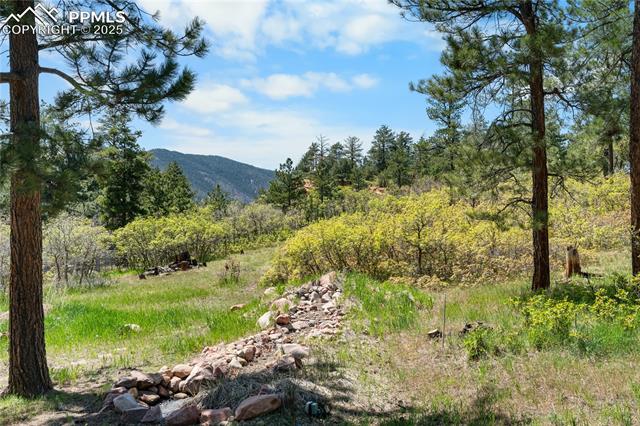 MLS Image for 4515  Red Rock  ,Larkspur, Colorado