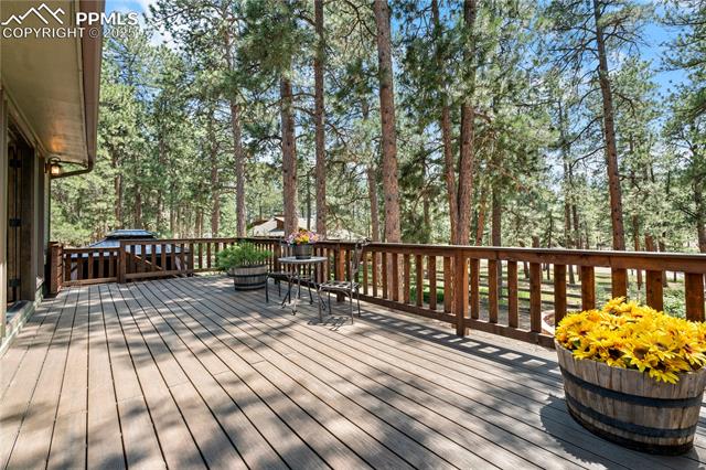 MLS Image for 4515  Red Rock  ,Larkspur, Colorado