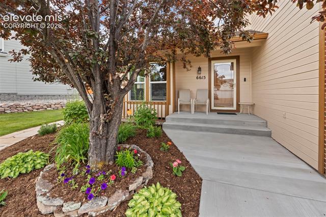 MLS Image for 6615  Holt  ,Colorado Springs, Colorado