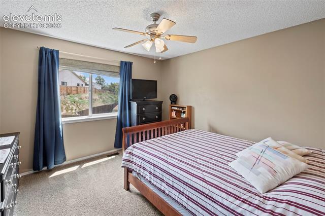 MLS Image for 6615  Holt  ,Colorado Springs, Colorado