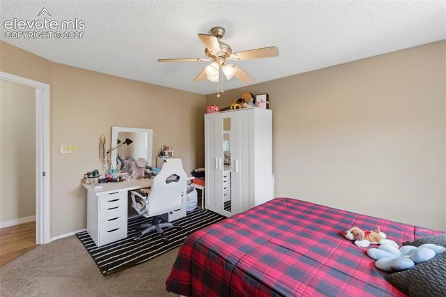 MLS Image for 6615  Holt  ,Colorado Springs, Colorado