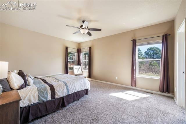MLS Image for 19793  Lindenmere  ,Monument, Colorado