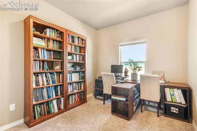 MLS Image for 19793  Lindenmere  ,Monument, Colorado