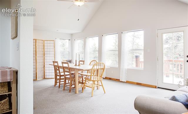 MLS Image for 16  Echo  ,Florissant, Colorado