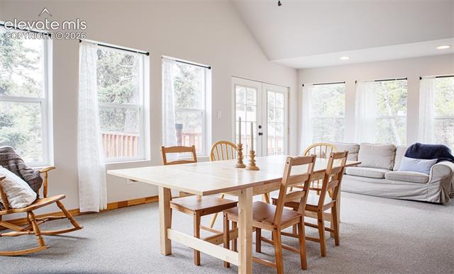 MLS Image for 16  Echo  ,Florissant, Colorado