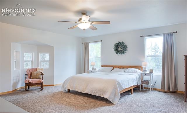 MLS Image for 16  Echo  ,Florissant, Colorado