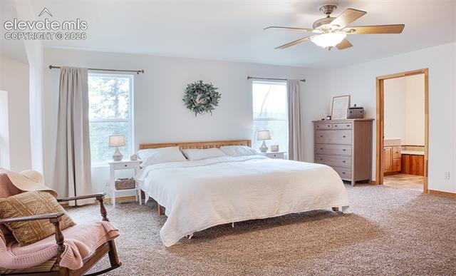 MLS Image for 16  Echo  ,Florissant, Colorado