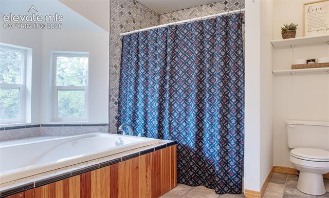 MLS Image for 16  Echo  ,Florissant, Colorado