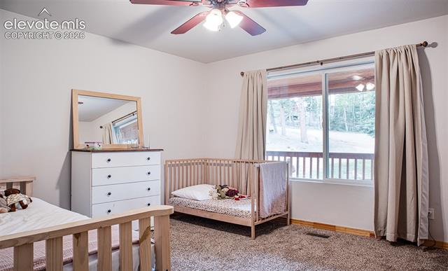 MLS Image for 16  Echo  ,Florissant, Colorado