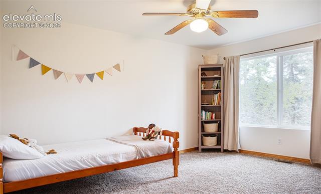MLS Image for 16  Echo  ,Florissant, Colorado