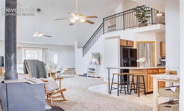 MLS Image for 16  Echo  ,Florissant, Colorado
