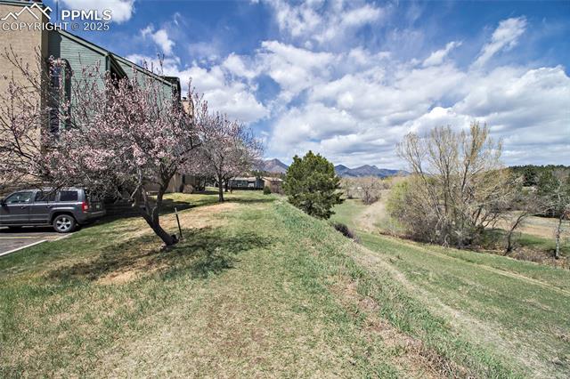 MLS Image for 124 W Rockrimmon  103 ,Colorado Springs, Colorado