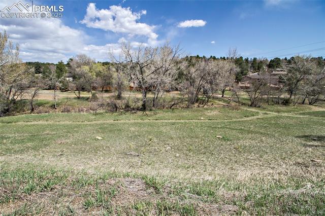 MLS Image for 124 W Rockrimmon  103 ,Colorado Springs, Colorado