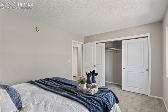 MLS Image for 2550  Gina  ,Colorado Springs, Colorado