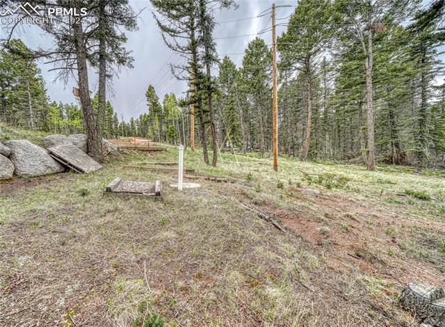 MLS Image for 95 E Handcart  ,Florissant, Colorado