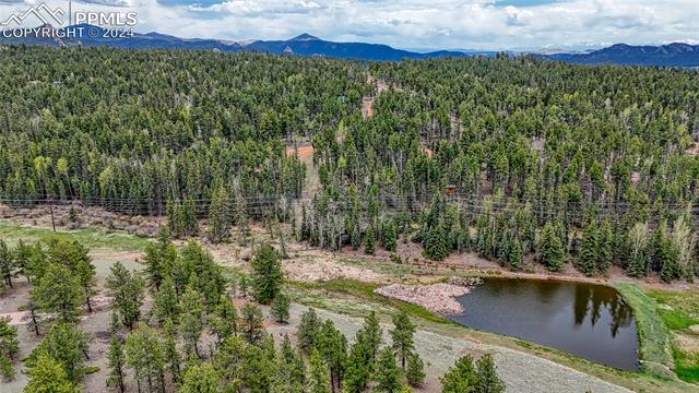 MLS Image for 95 E Handcart  ,Florissant, Colorado